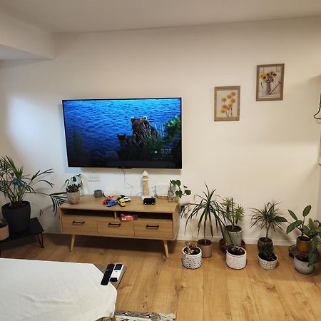 המקום של מוש Pardess Hanna Εξωτερικό φωτογραφία